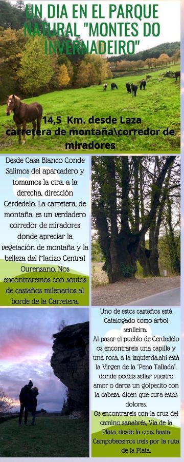Апартаменты El Camino Ласа Экстерьер фото